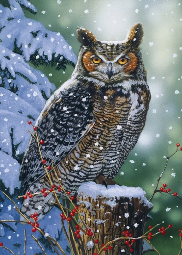 Puslespil Stille observatør 500 brikker ALIPSON