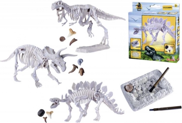 Sæt til udgravning og samling af dinosaurknogler