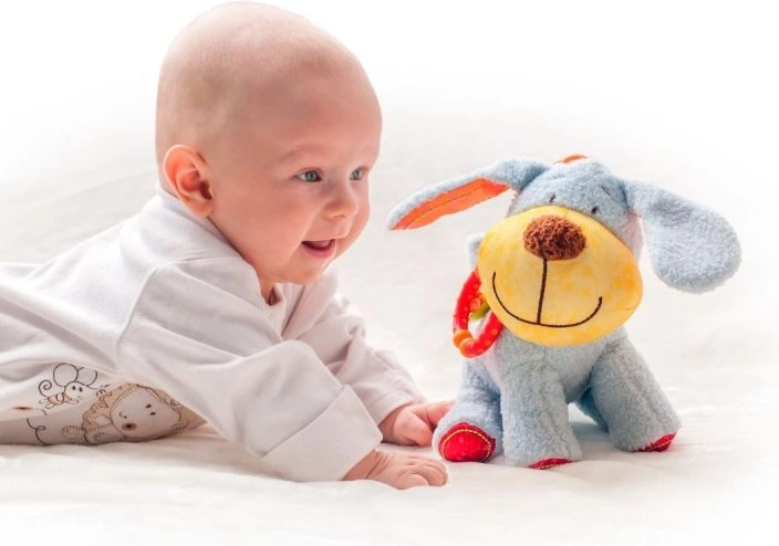 Glad plysven fra fødslen