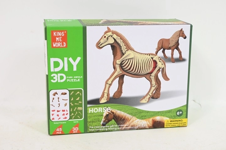 Anatomisk model af hest