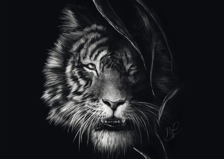 Schmidt puslespil Tigerens vildskab – legemliggjort frihed 1000 brikker