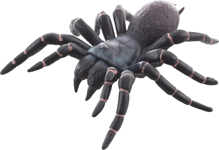 Ideel til læring og dekoration