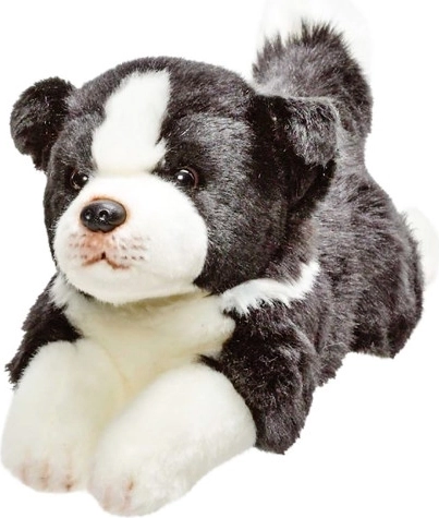 Plys hund border collie 30 cm