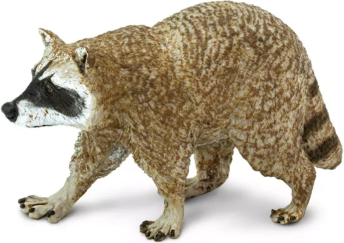 Figur af nordamerikansk vaskebjørn Safari Ltd.