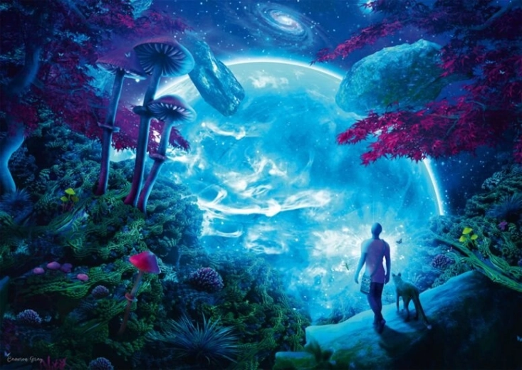 Schmidt puslespil Himmelsk himmel 1000 brikker