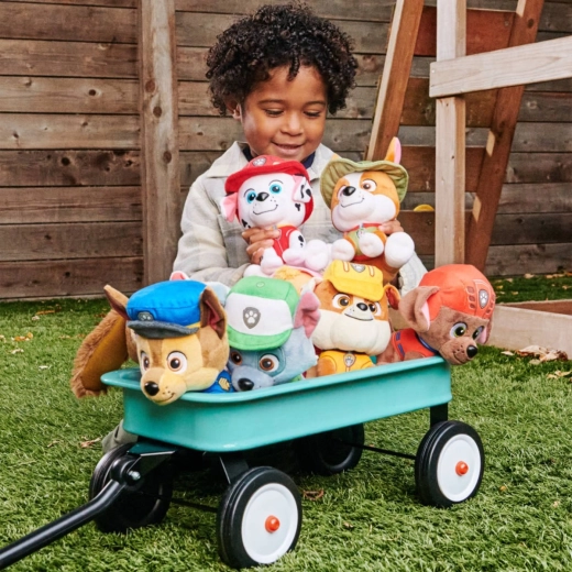 Heltinde fra Paw Patrol