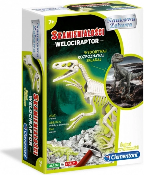 Velociraptor-fossil