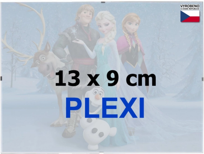 BFHM clipramme euroclip 13 × 9 cm (plexiglas)