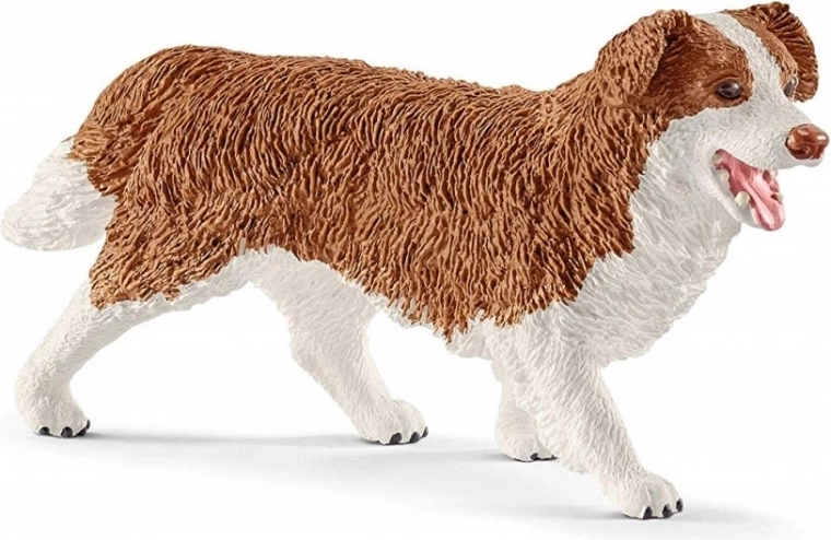 Pleje af kæledyr med hunden Ruby