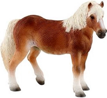 Haflinger-hoppe
