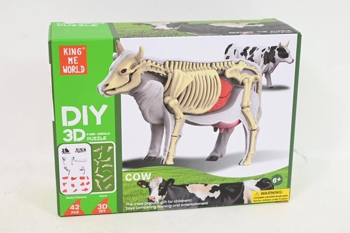 Anatomisk ko-model til børn