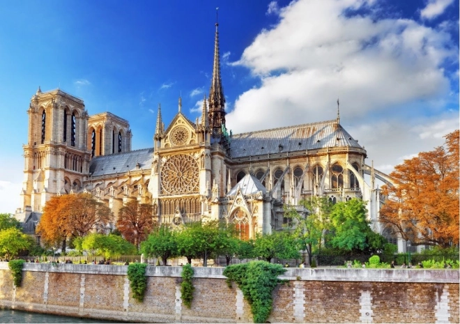 Puslespil Notre-Dame i Paris 2000 brikker BLUEBIRD