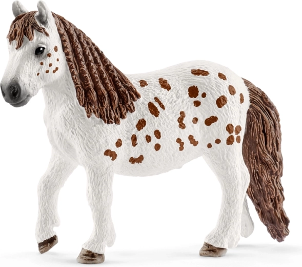 Shetlandsponyen Spotty med fine detaljer