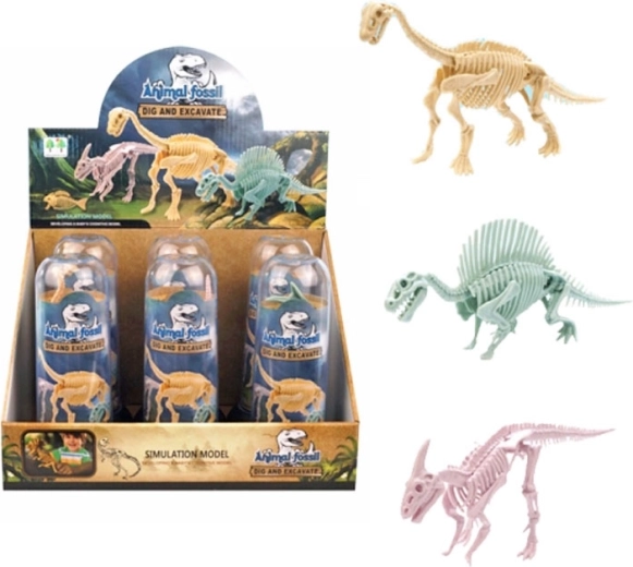 Dinosaurskelet i gennemsigtigt rør