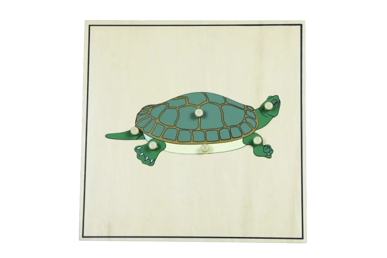 Puslespil med skelet – skildpadde