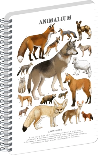 Notique spiralblok Animalium – Hundedyr, linjeret, A5