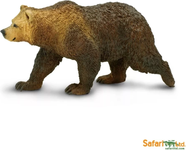 Grizzlybjørn