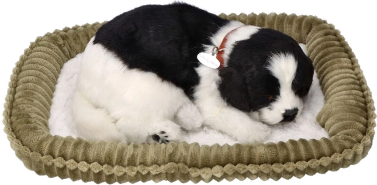 Vejrtrækkende border collie-hvalp til adoption