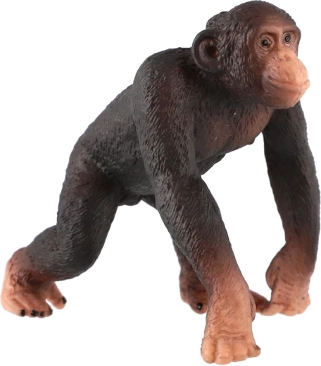 Kompakt størrelse 8 cm