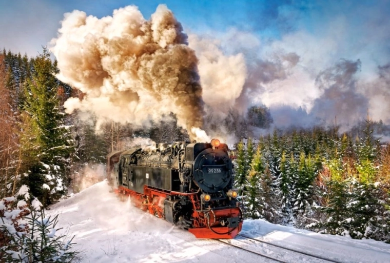 Puslespil 1000 brikker Steam Train