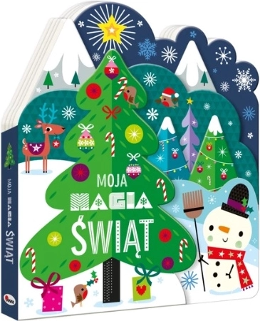Moja magia świąt – polsk harmonikabog om jul for børn