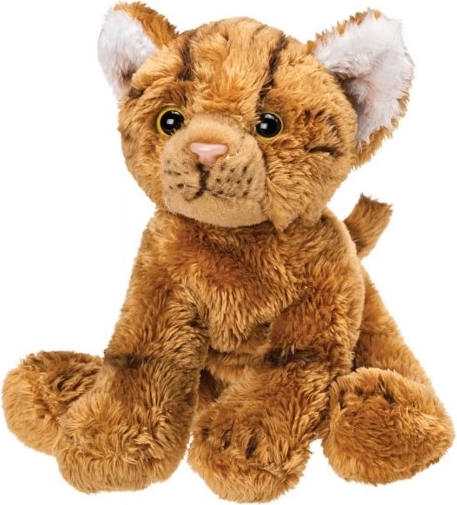 plysbamse-kat af premium plyds