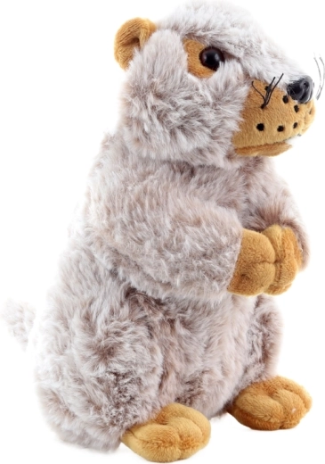 Ideel størrelse til børnehænder