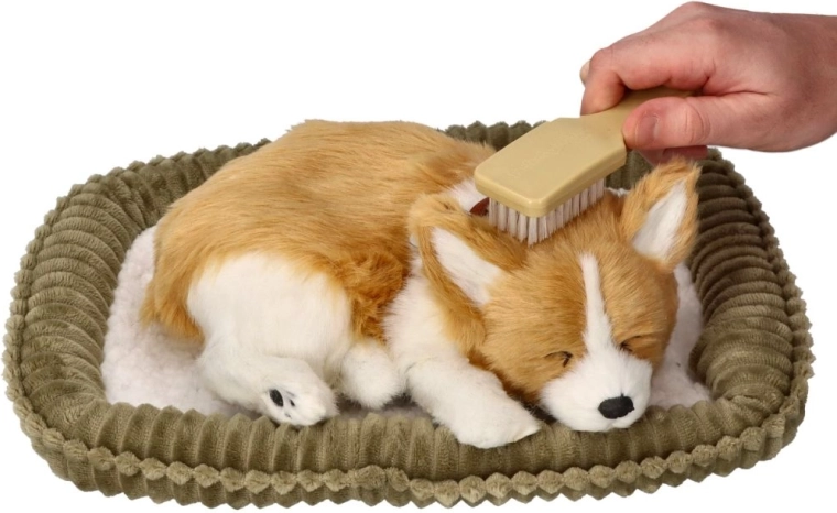 Pleje som en rigtig hund