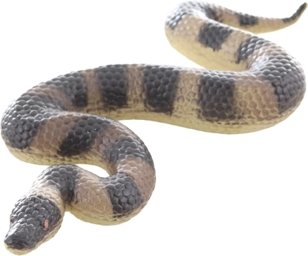 Kompakte mål for små opdagelsesrejsende