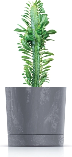 Ideel til sukkulenter, krydderurter og mindre planter