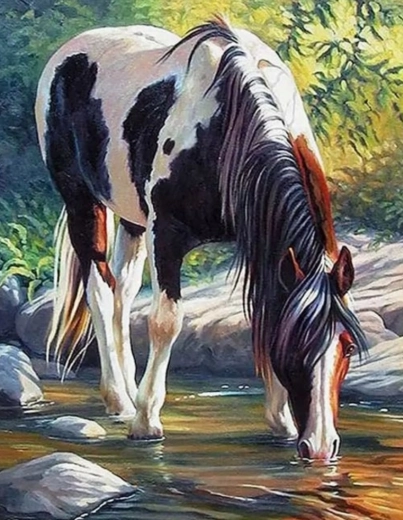 Maling efter tal – hest ved floden 40 × 50 cm