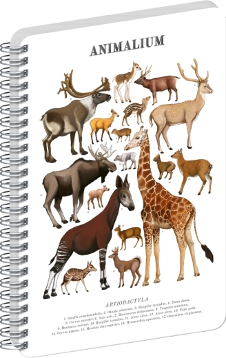Notique spiralblok Animalium hovdyr ren A5