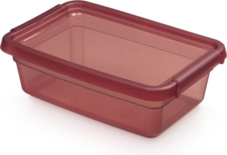 Basestore opbevaringsboks med låg og clips 3 l, 19 × 28 × 9 cm, rabarber