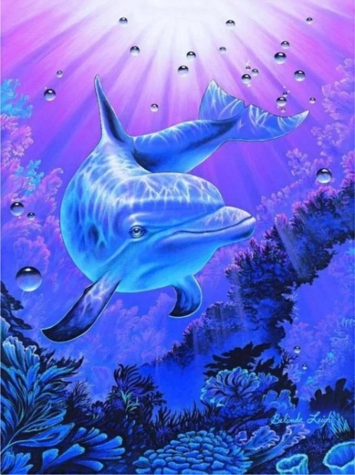 Norimpex mal efter tal Delfin 40 × 50 cm