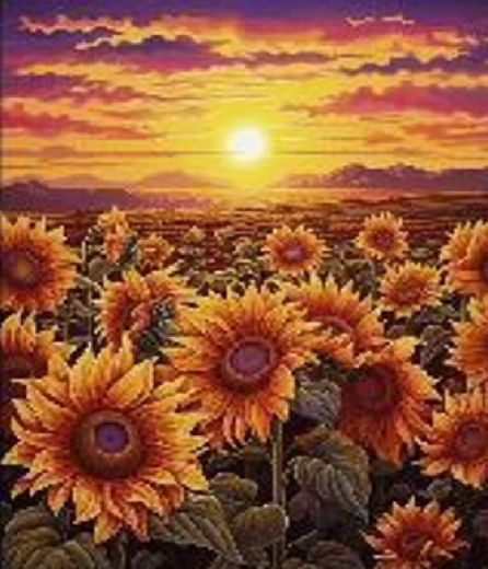 Diamantmaling solnedgang blandt solsikker 30 × 40 cm
