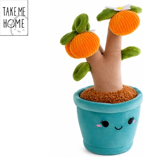 Take Me Home plys-appelsintræ 26 cm