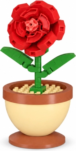 Detaljeret rød rose