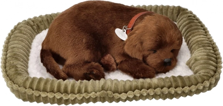 Plysbamse med snorkende hvalp – chokoladebrun labrador i kurv