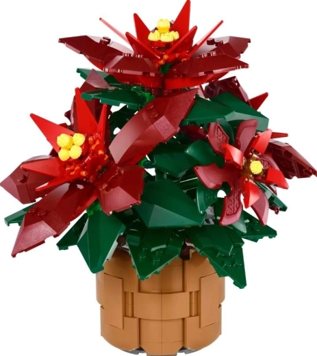 Detaljeret poinsettia Grande Italia i flettet urtepotte