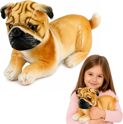 Plys-mops 25 cm realistisk hund til kram