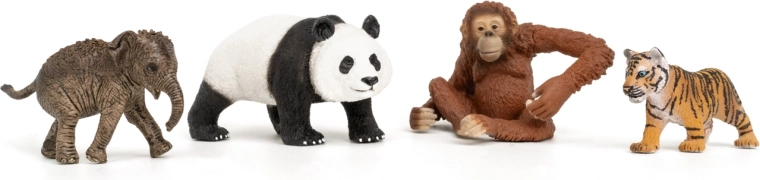 Startsæt Wild Life Asien