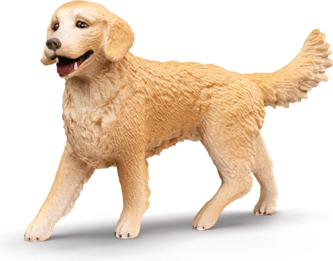 Detaljeret figur af golden retriever