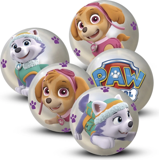 Bold Paw Patrol 10 cm – display med 12 stk.