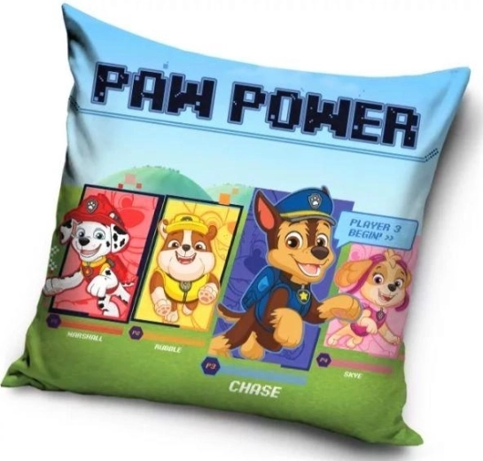 Pudebetræk Paw Patrol 40 × 40 cm