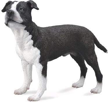 Amerikansk Staffordshire Terrier figur Collecta