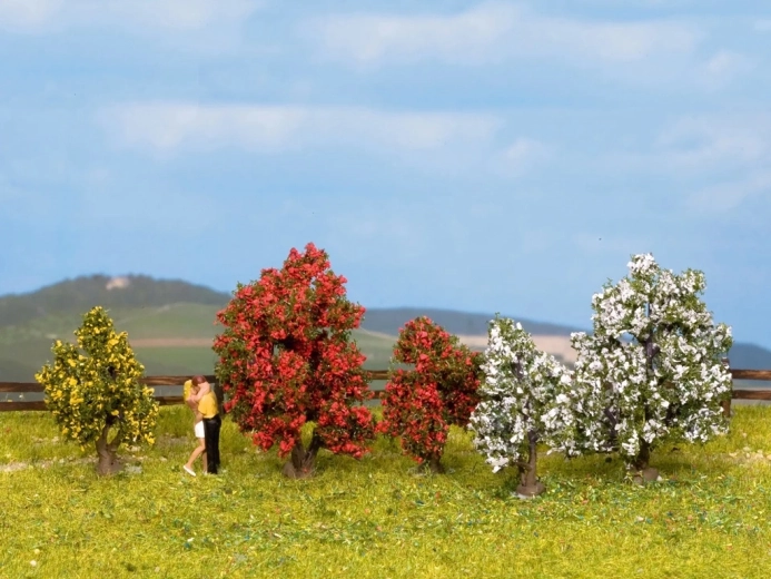 Noch blomstrende prydbuske Classic, sæt med 5 stk.