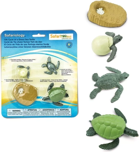 Safari Ltd. havskildpaddens livscyklus