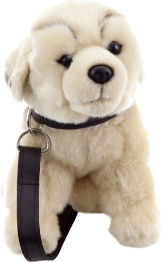 Leg luftetur takket være halsbånd og line