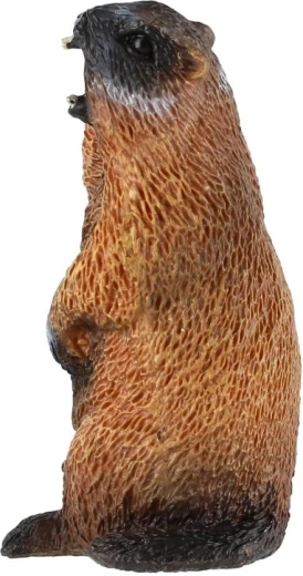 Kompakt størrelse