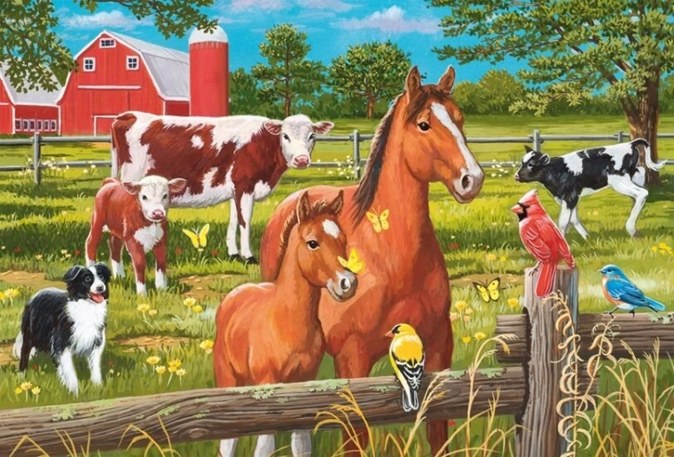 Klare farver og detaljerede illustrationer